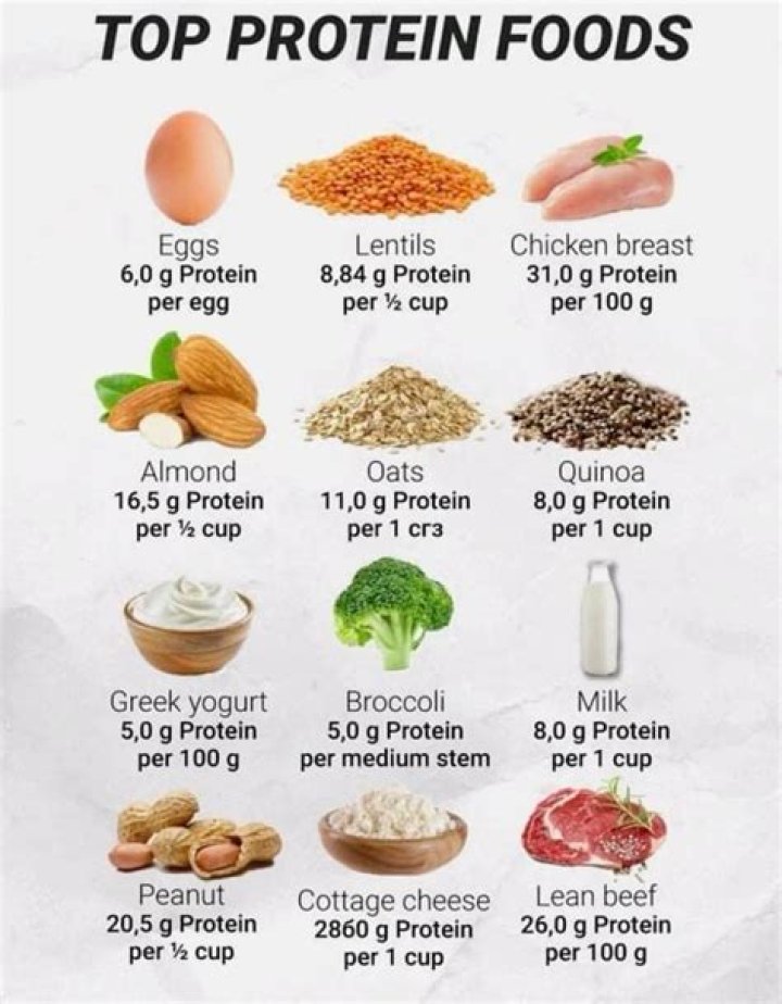 Best Foods That Contain Protein
