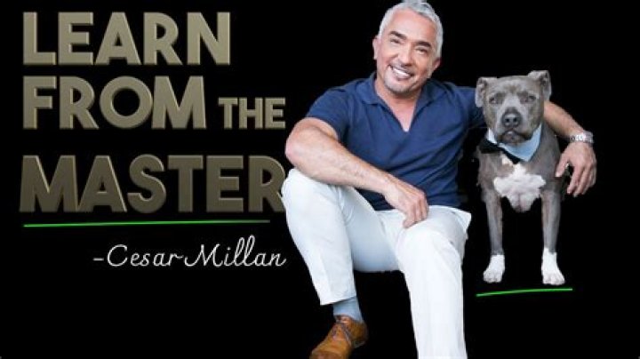 Cesar Millan Says You Should Never Walk Behind Your Dog—Here's Why