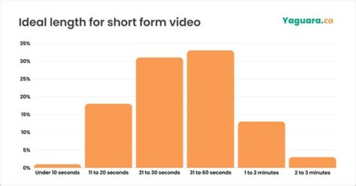 호주사라 HojuSara video statistics