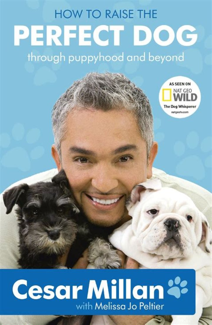 How to Buy the Perfect Dog by Cesar Millan