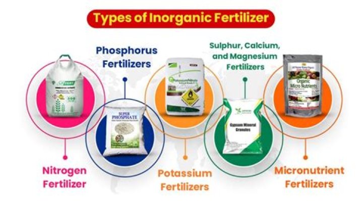 If You're Using One of These Popular Fertilizers, Stop Now, New Study Says