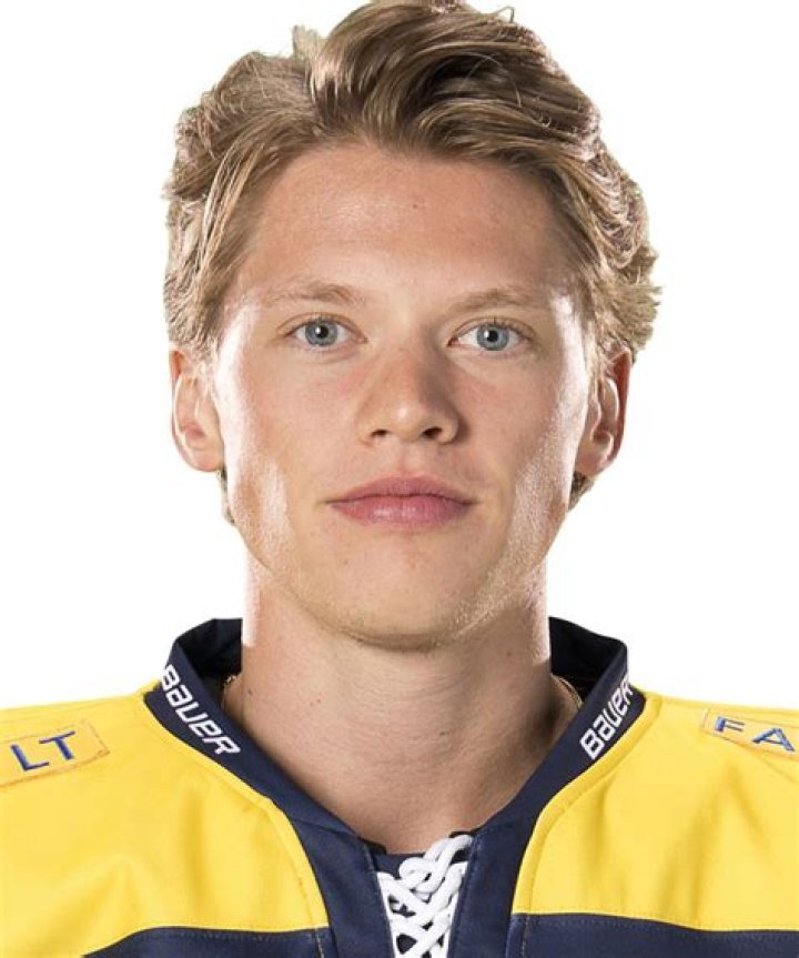 Lawrence Pilut Biography- NHL player, Salary, Earnings, Net worth, Married, Contract, Relationship, Girlfriend, Affair, Age, Height, Family