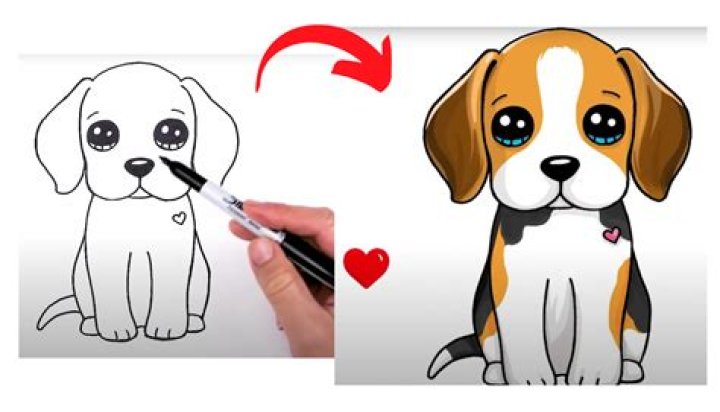 Louie The Beagle video statistics