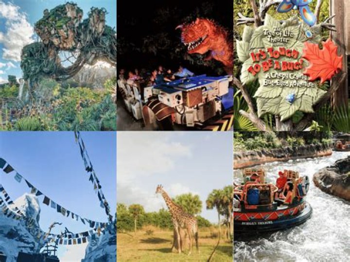 My Favorite Holiday Experience At Animal Kingdom