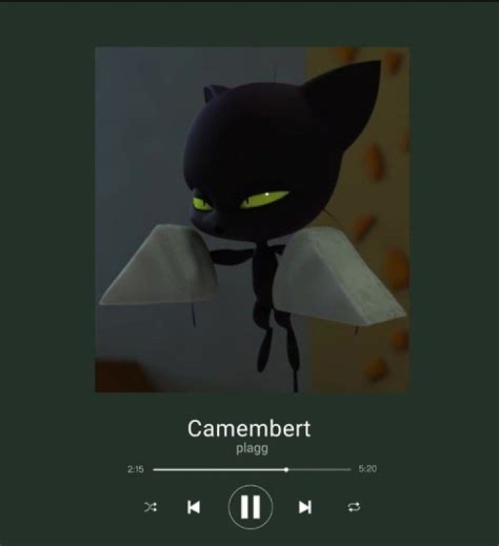Plagg Camembert video statistics