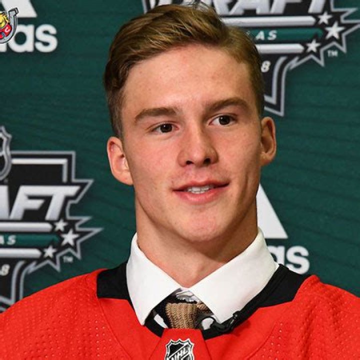 the Carolina Hurricanes Right Wing Andrei Svechnikov bio, salary, net worth, affair, single, Career, Facts