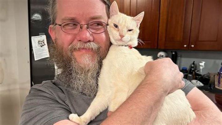 This Viral "Dad Who Didn't Want a Cat" Thread Is Just Too Cute