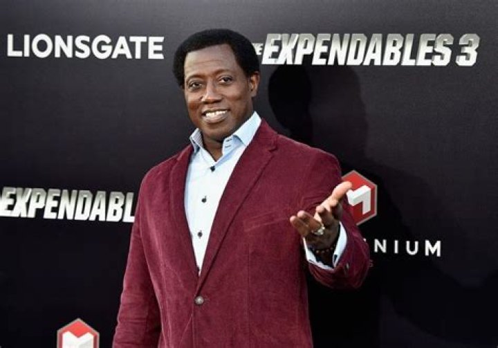 Wesley Snipes Played Chicken With The IRS... And Lost. Badly. Really Badly. He Literally Went From Passenger 57, To Prisoner #43355-018