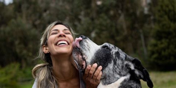 Why You Should Never Stop Your Dog From Licking You — Best Life